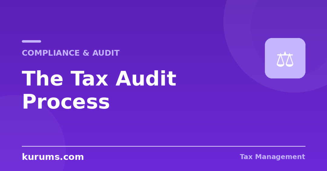 The Tax Audit Process: Triggers, Response, and Outcomes