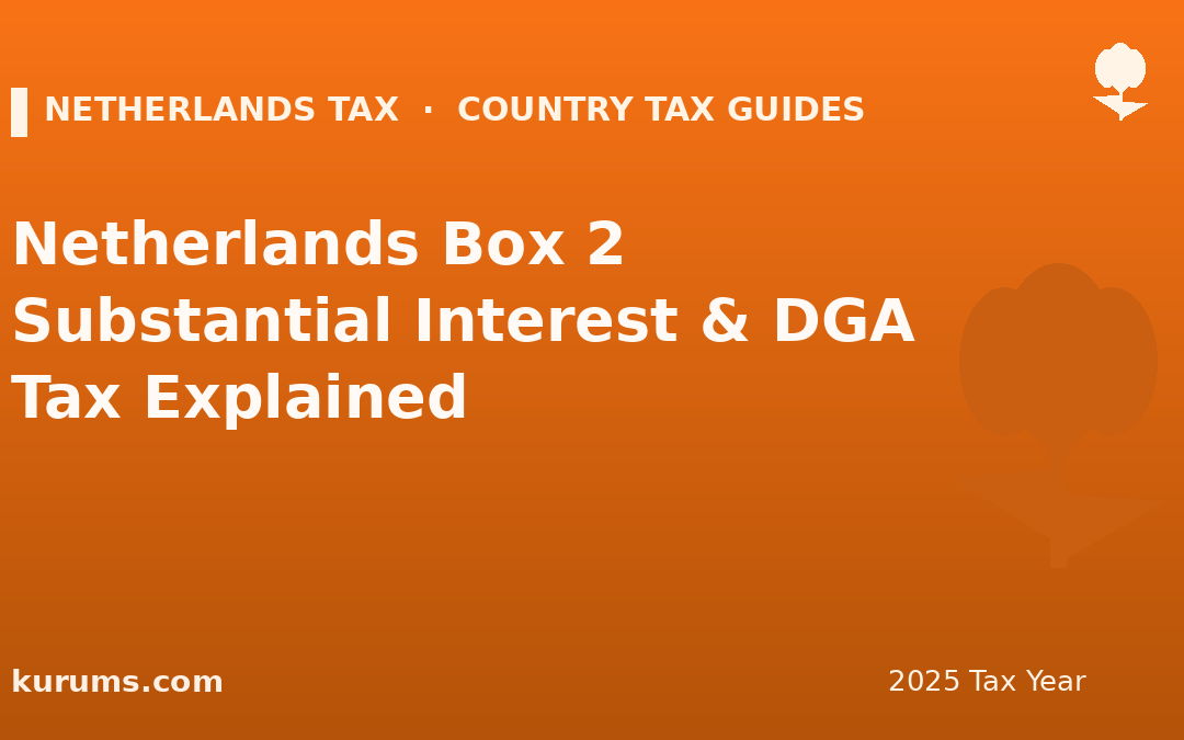Netherlands Box 2 Substantial Interest & DGA Tax Explained (2025)