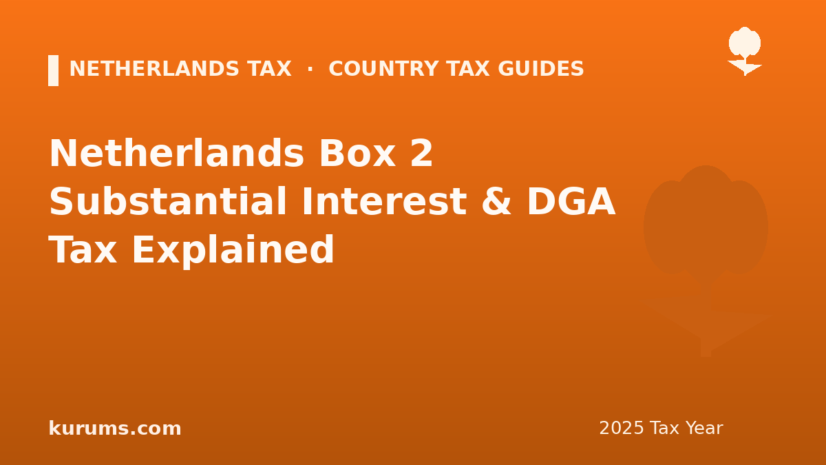 Netherlands Box 2 Substantial Interest & DGA Tax Explained (2025)