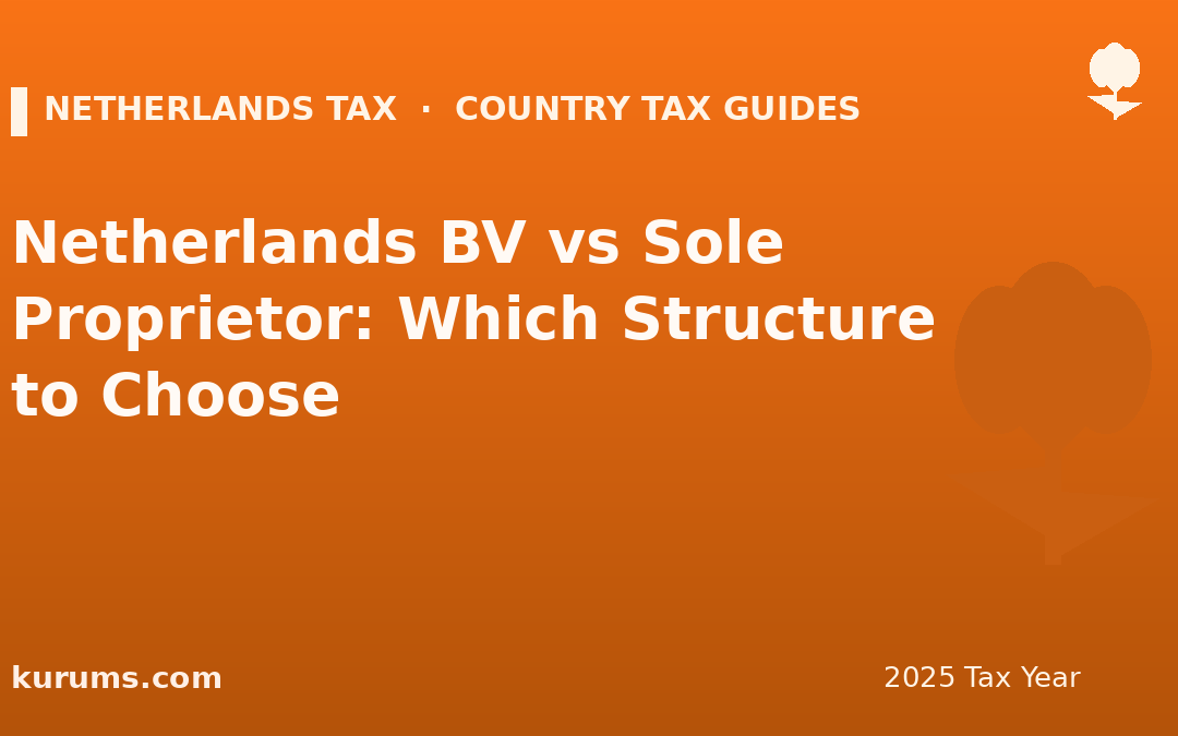 Netherlands BV vs Sole Proprietor: Which Structure to Choose (2025)