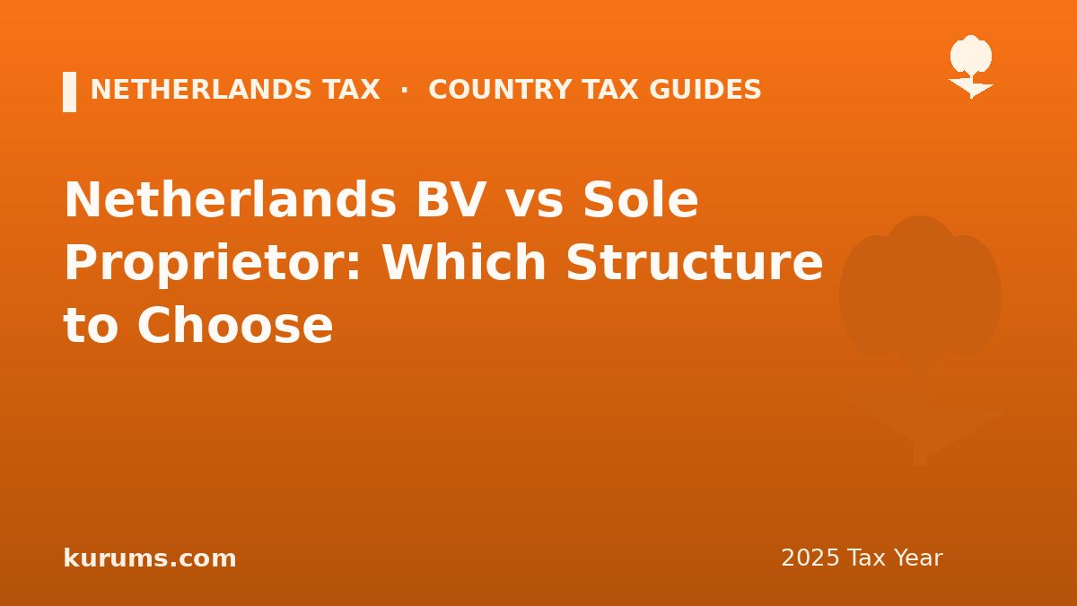 Netherlands BV vs Sole Proprietor: Which Structure to Choose (2025)