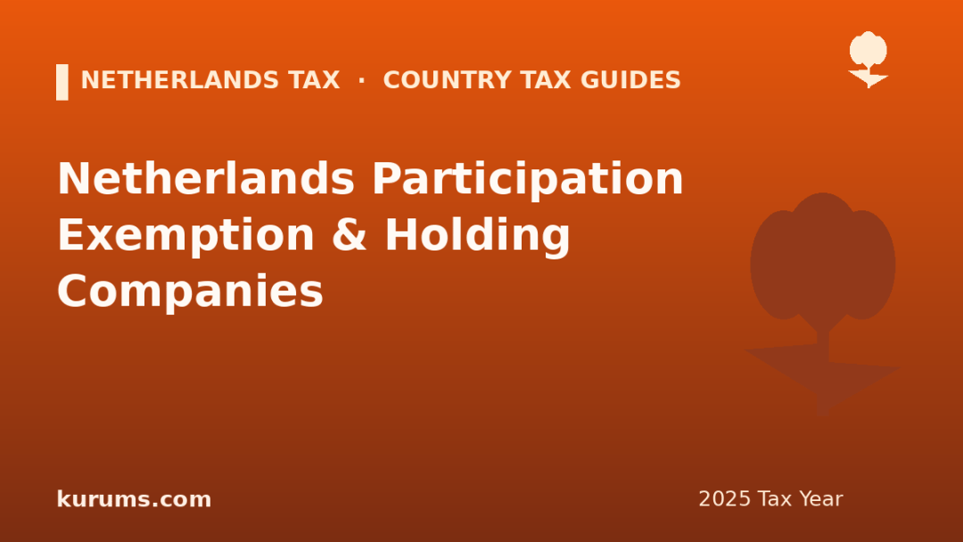 Netherlands Participation Exemption & Holding Companies (2025)