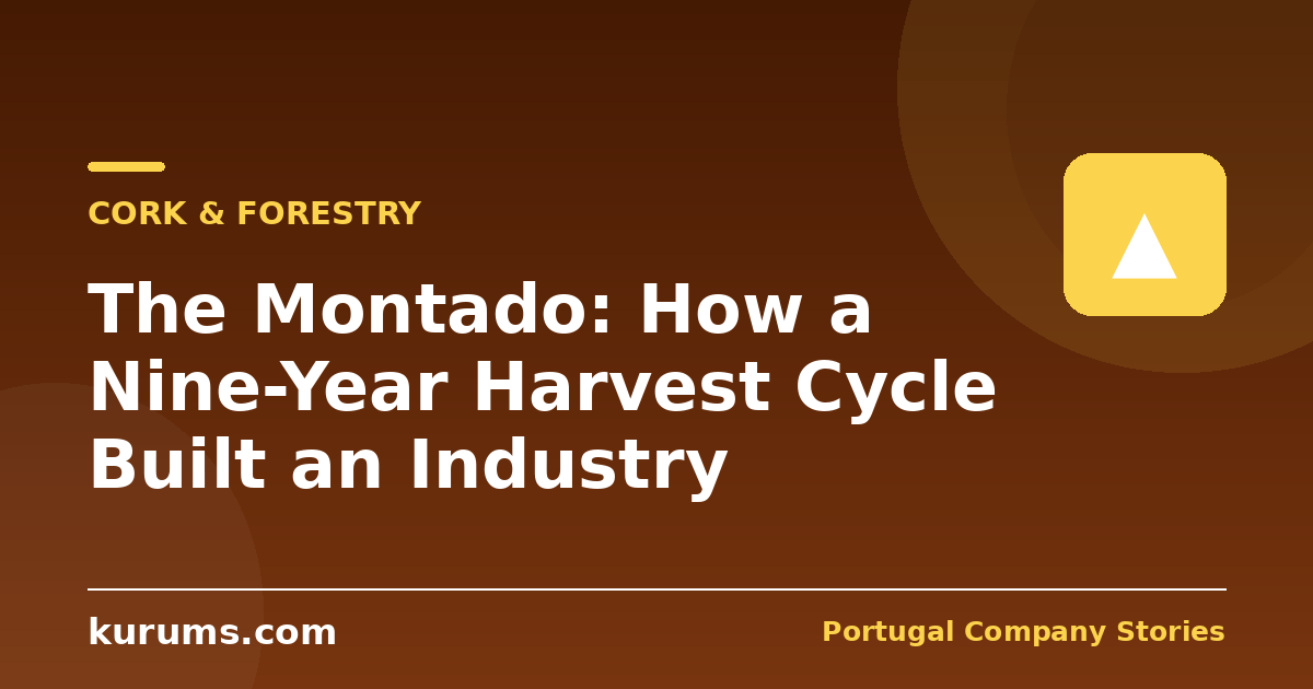 The Montado: How a Nine-Year Harvest Cycle Built an Industry