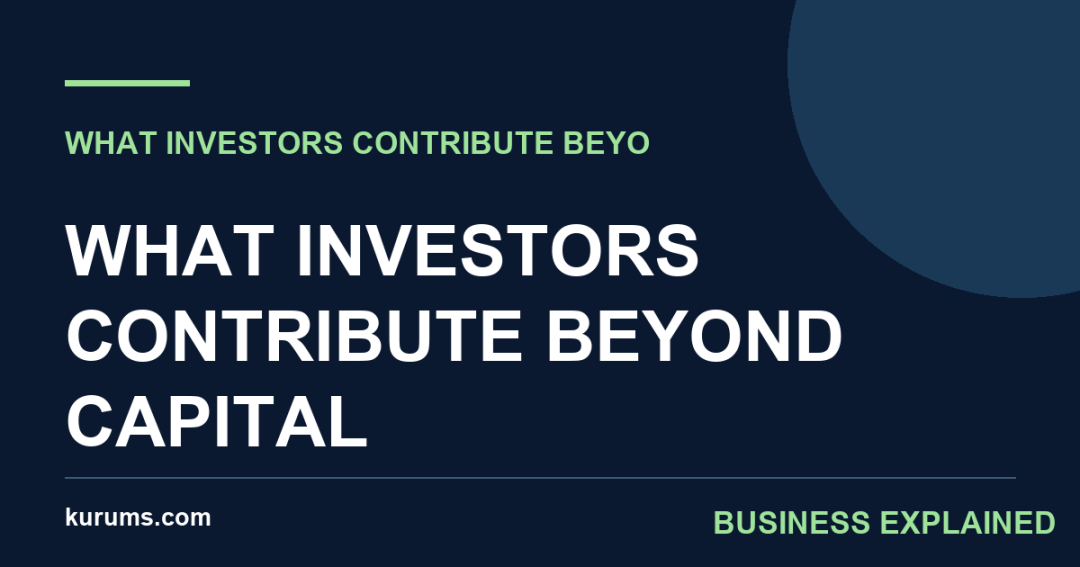 What Investors Contribute Beyond Capital